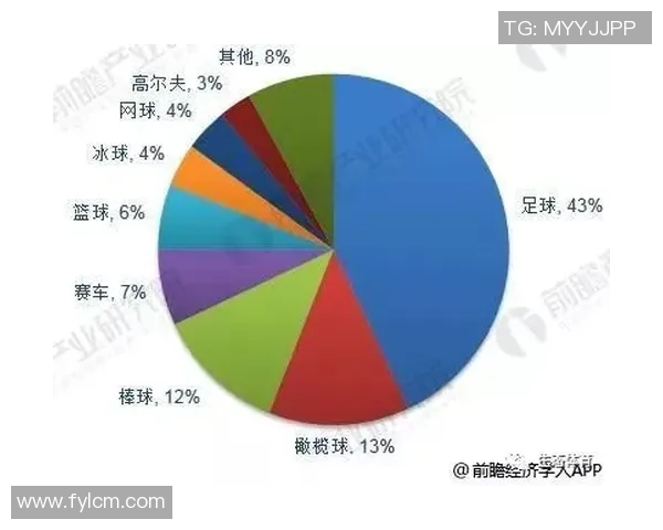足球星辉公司引领足球产业新纪元打造全球顶级足球品牌与市场影响力